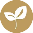 logo def dec 2019 agrandi.png